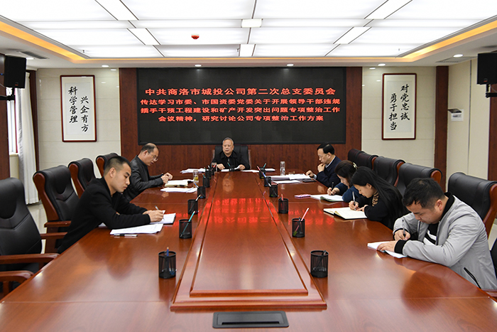 中共商洛市城投公司總支委員會召開領導干部違規(guī)插手干預工程建設和礦產(chǎn)開發(fā)突出問題專項整治工作動員會