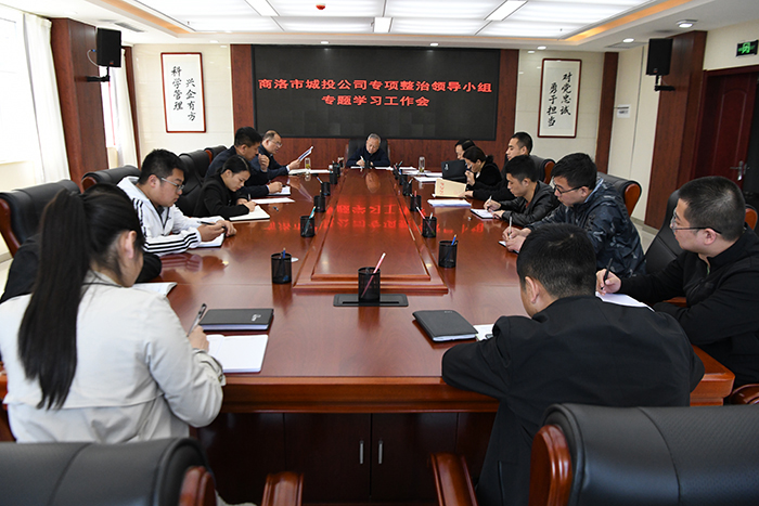 市城投公司專項整治領(lǐng)導(dǎo)小組召開專題學(xué)習(xí)工作會