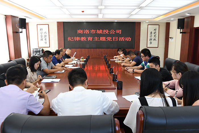 市城投公司開展“明紀(jì)律、知敬畏、存戒懼、守底線、做表率”紀(jì)律教育學(xué)習(xí)活動