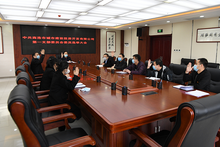 黨建引領(lǐng)謀發(fā)展  逐夢前行譜新篇 ——市城投公司黨總支所屬各支部召開黨員大會(huì)選舉產(chǎn)生第一屆支委成員