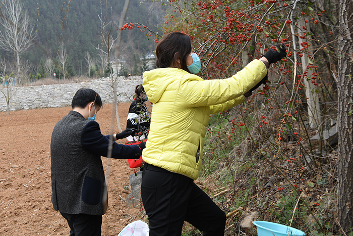 市城投公司植樹節(jié)開展員工采集樹種活動(dòng)