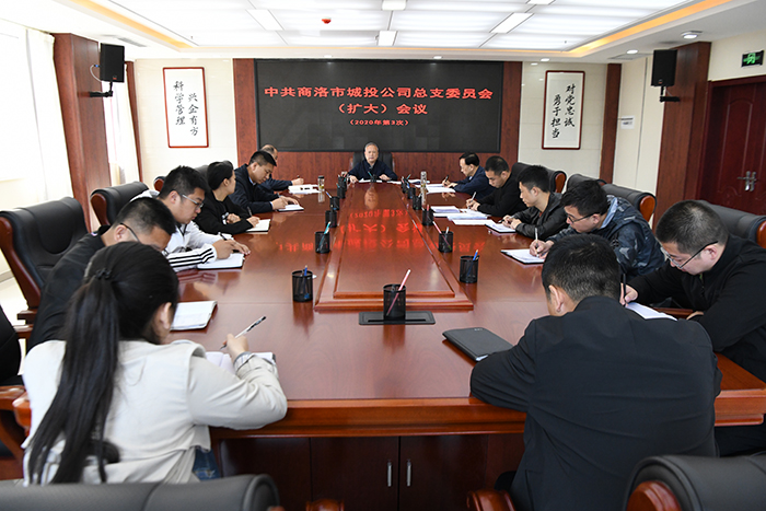 市城投公司召開總支委員（擴(kuò)大）會議    傳達(dá)學(xué)習(xí)習(xí)近平總書記來陜考察重要講話     重要指示精神