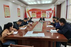 公司第二支部開展“戴黨徽、亮身份、亮標(biāo)準(zhǔn)、亮承諾、展先鋒”主題黨日活動