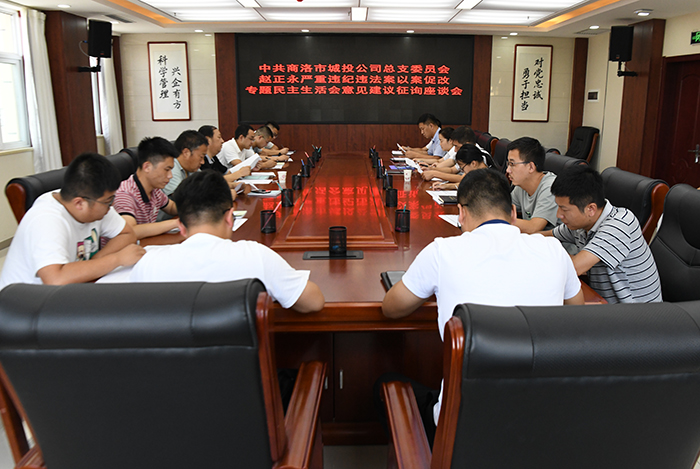 市城投公司黨總支召開趙正永嚴(yán)重違紀(jì)違法案以案促改專題民主生活會征求意見座談會