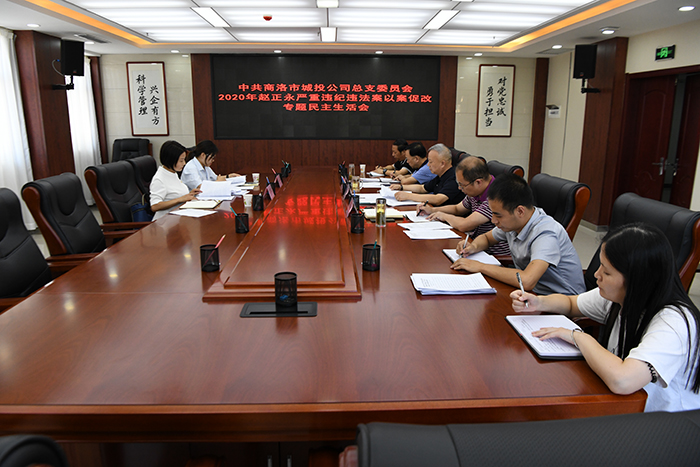 市城投公司領導班子召開趙正永嚴重違紀違法案以案促改專題民主生活會