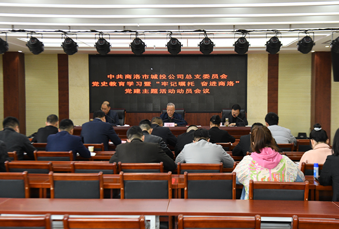 公司黨總支召開黨史學(xué)習(xí)教育暨“牢記囑托、奮進(jìn)商洛”黨建主題活動動員會議
