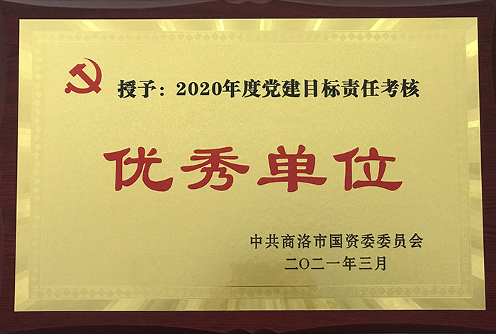 公司黨總支2020年黨建目標(biāo)責(zé)任考核獲上級表彰