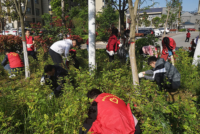 公司第一黨支部開展“秦嶺最美是商洛·生態(tài)衛(wèi)士我先行” 主題黨日暨志愿者服務活動