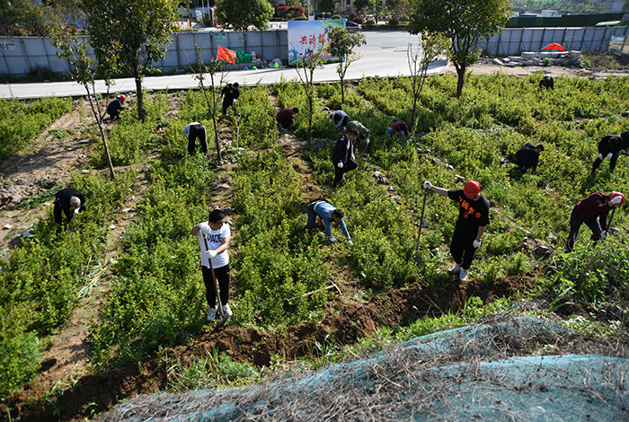 公司第二黨支部開展“牢記書記殷殷囑托,爭做 秦嶺生態(tài)衛(wèi)士”黨建實踐活動