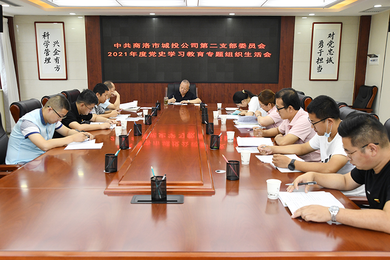公司第二黨支部召開2021年度黨史學(xué)習(xí)教育專題組織生活會(huì)